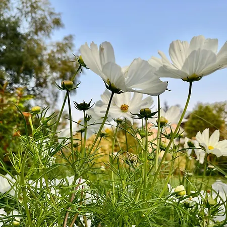 Au 27 Nocleg ze śniadaniem 3*