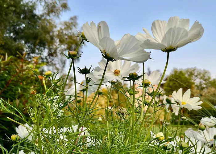 Au 27 Nocleg ze śniadaniem 3*